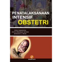 Penatalaksanaan Intensif Obstetri